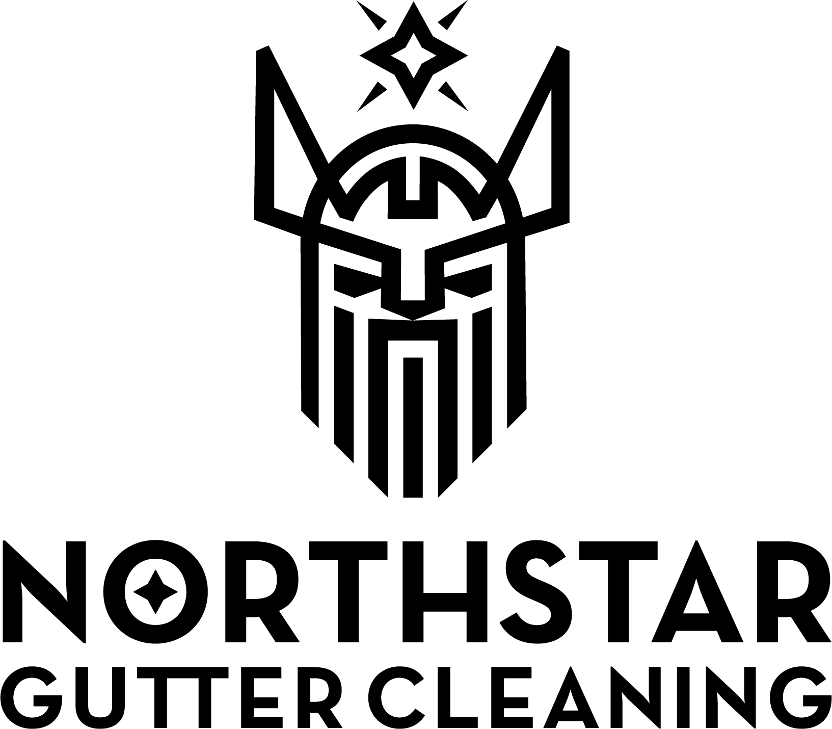 North Star Gutter Cleaning logo